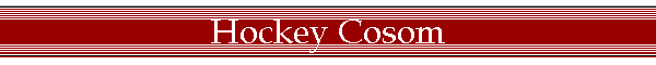 Hockey Cosom